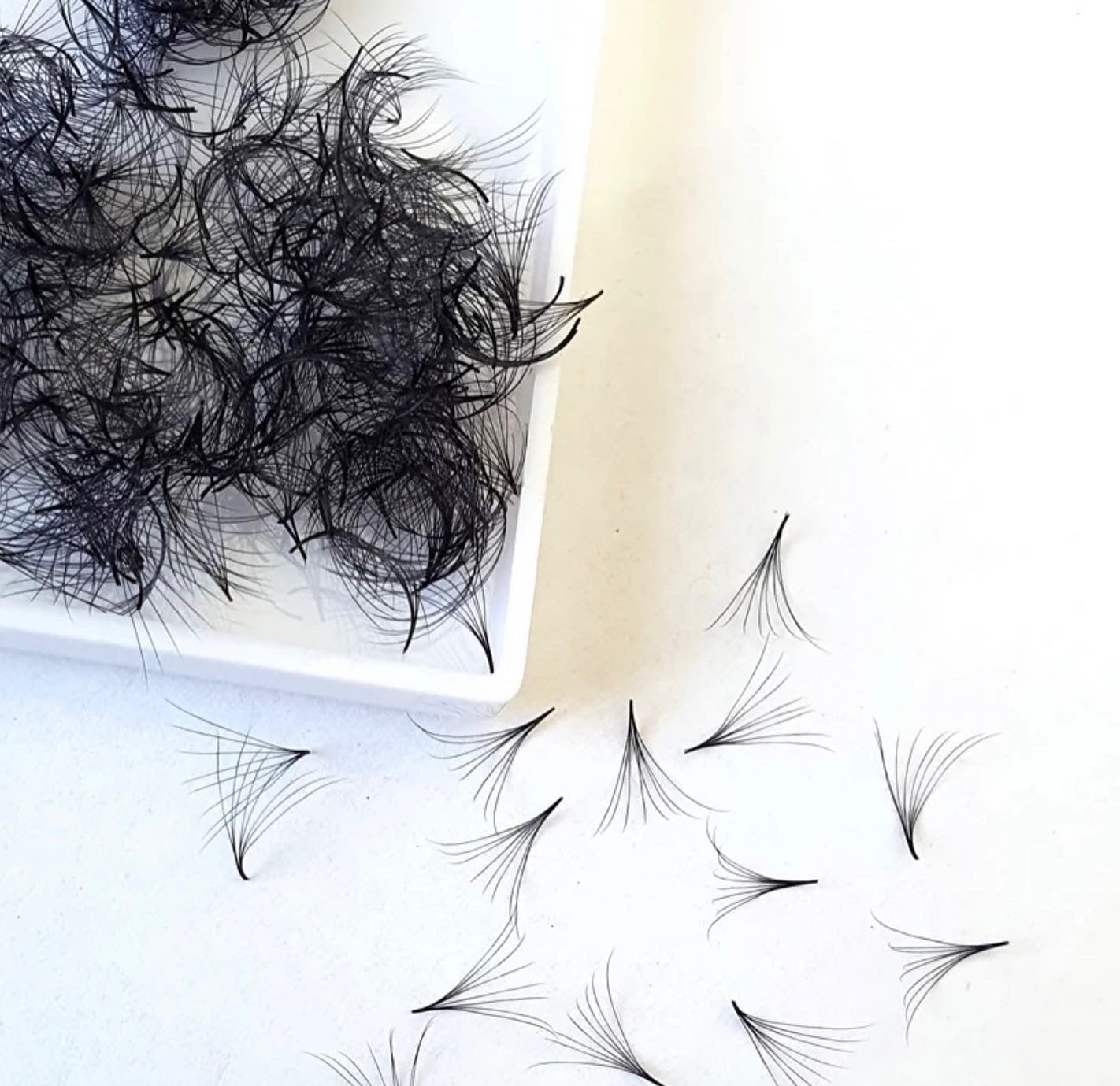 Promade lash fans