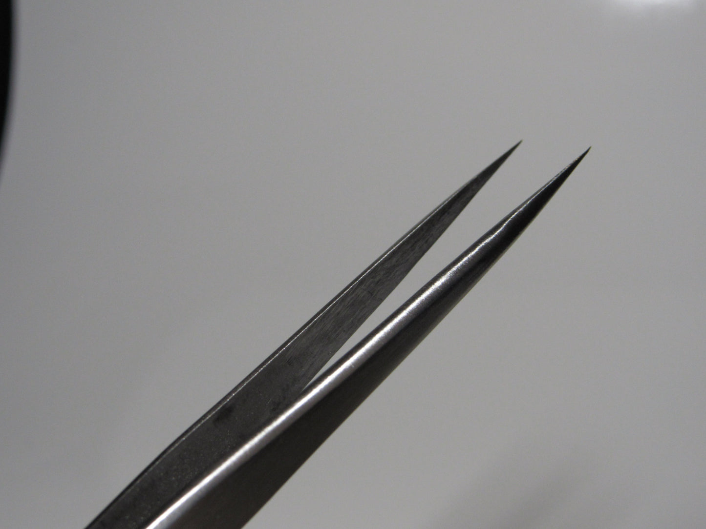 Straight Tweezers image 0