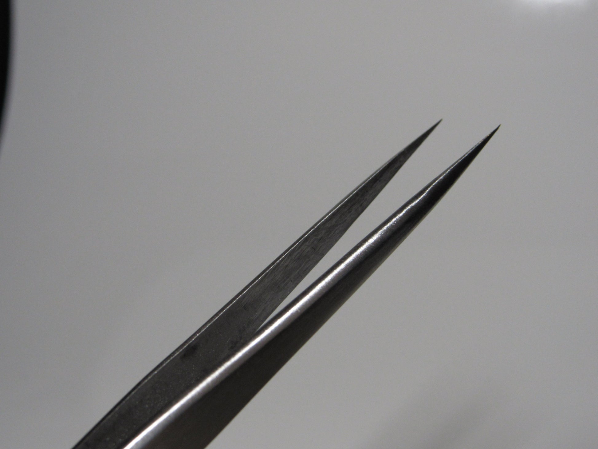 Straight Tweezers image 0